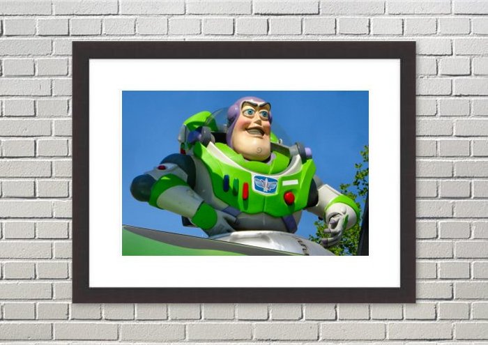 Framed Print Framed Print